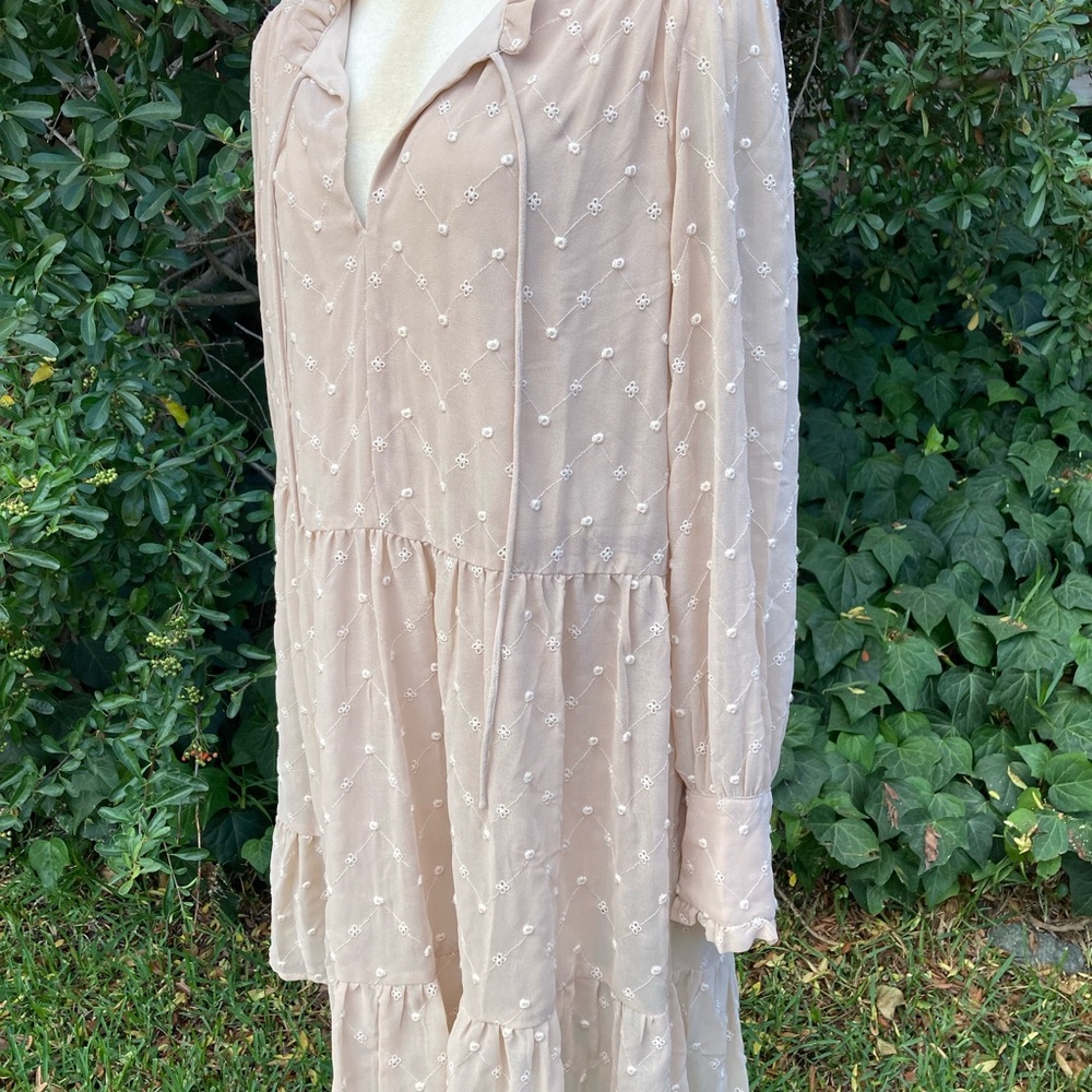 H&M Embroidered Dress in Light Beige - Picture 3 of 7